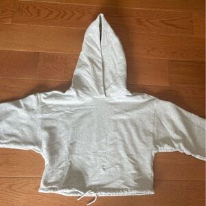 Aritzia Babaton grey cropped hoodie